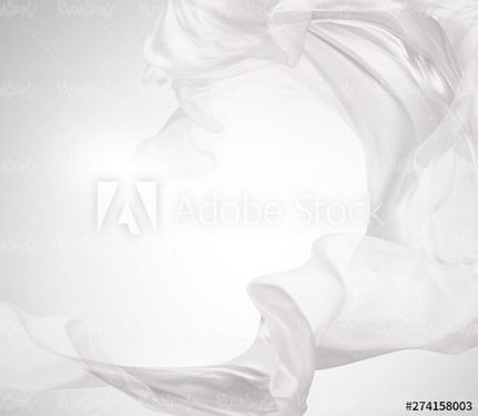 وکتور پس زمینه