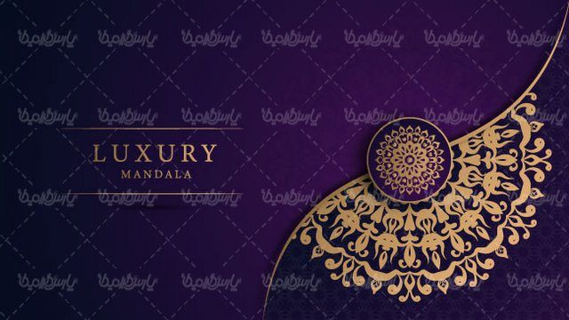 Flower frame vector