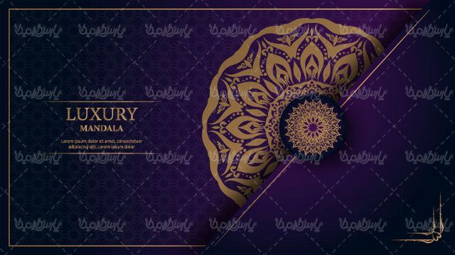 Flower frame vector