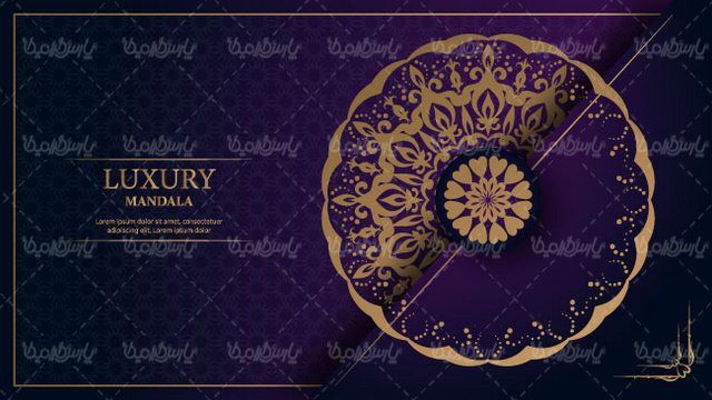 Flower frame vector