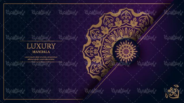 Flower frame vector