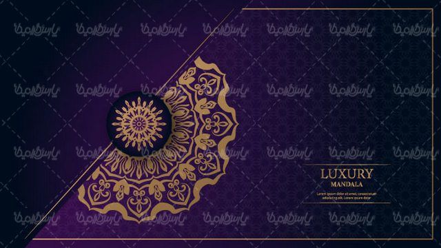 Flower frame vector
