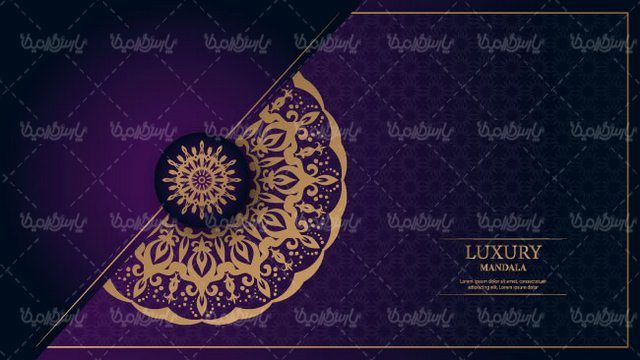 Flower frame vector