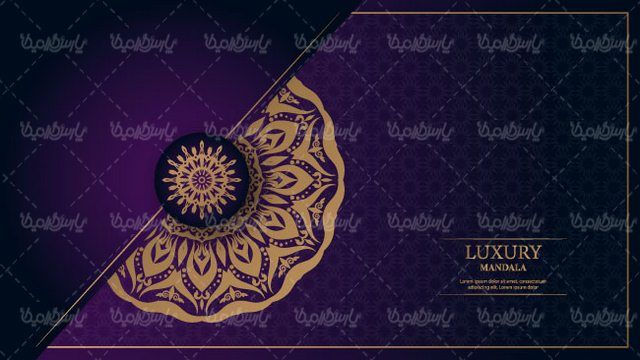 Flower frame vector