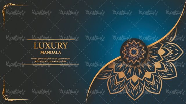 Flower frame vector