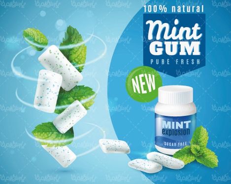 Mint gum vector