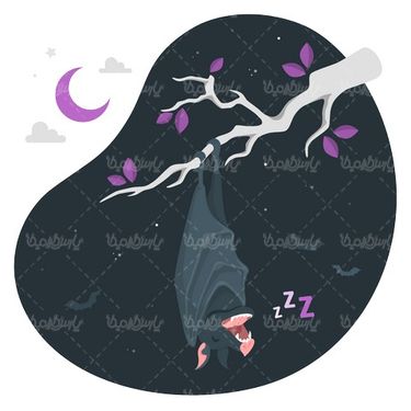 Vector bat
