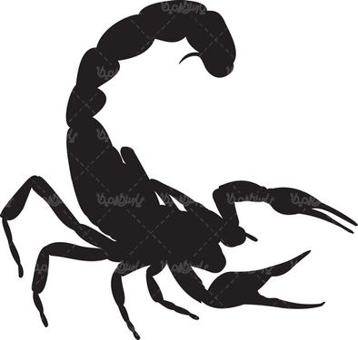Vector scorpion