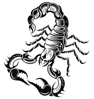 Vector scorpion
