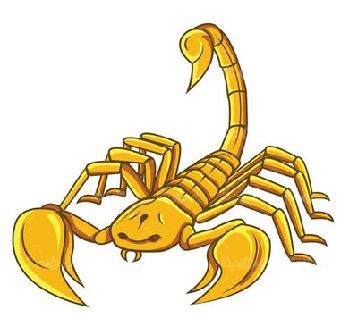 Vector scorpion