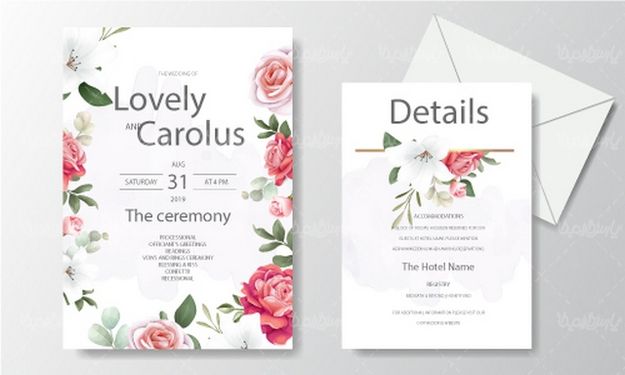 وکتور حاشیه گل و بوته
