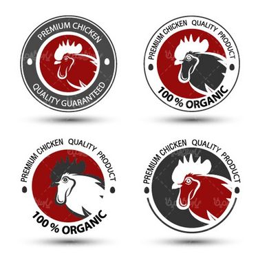 Chicken logo vector