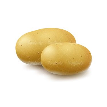 وکتور سیب زمینی