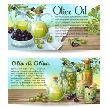 Olive oil vector