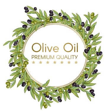 Olive oil vector