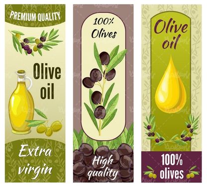 Olive oil vector
