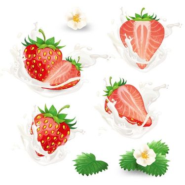 Strawberry Vector