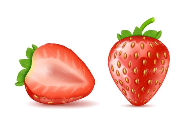 Strawberry Vector