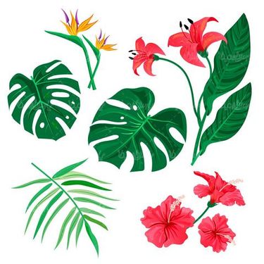 وکتور برگ و گل