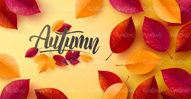 وکتور طرح فروش پاییزی