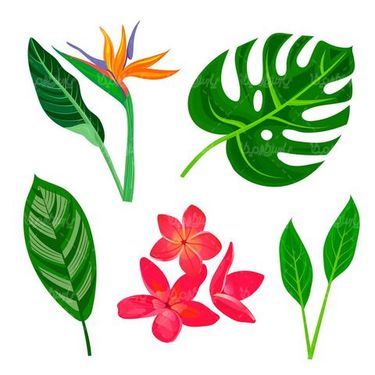 وکتور برگ و گل