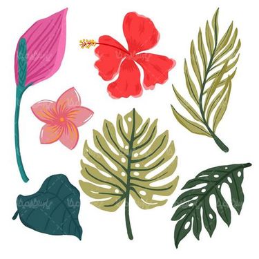 Vector leaves and flowers