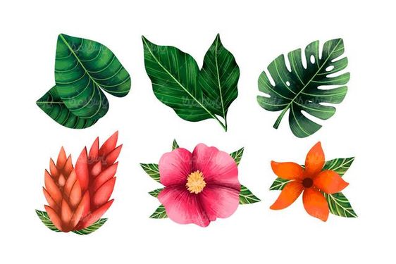 Vector leaves and flowers