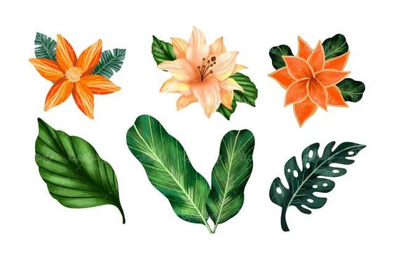 Vector leaves and flowers