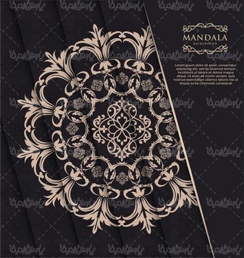 Vector background