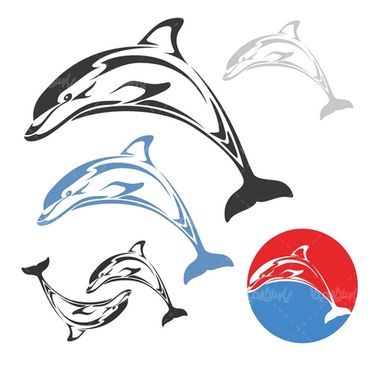 Dolphin Vector