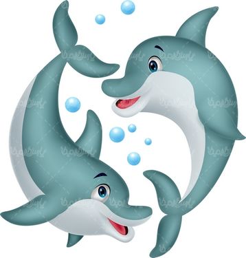 Dolphin Vector