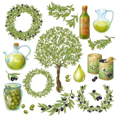 Olive oil vector