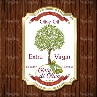 Olive oil vector