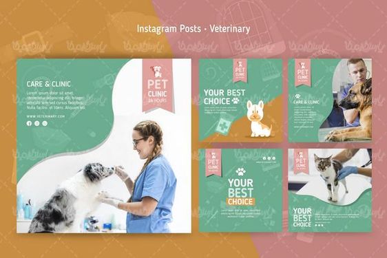Veterinary vector
