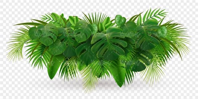 وکتور برگ گل