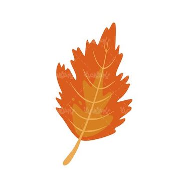 Leaf vector