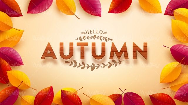 Vector autumn sales plan