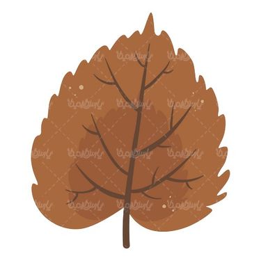 Leaf vector