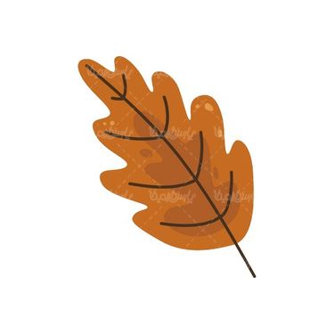 Leaf vector