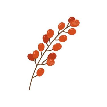 وکتور شاخه میوه