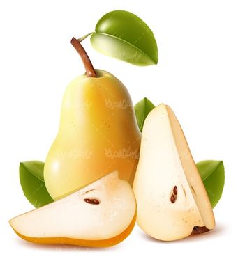 وکتور گلابی
