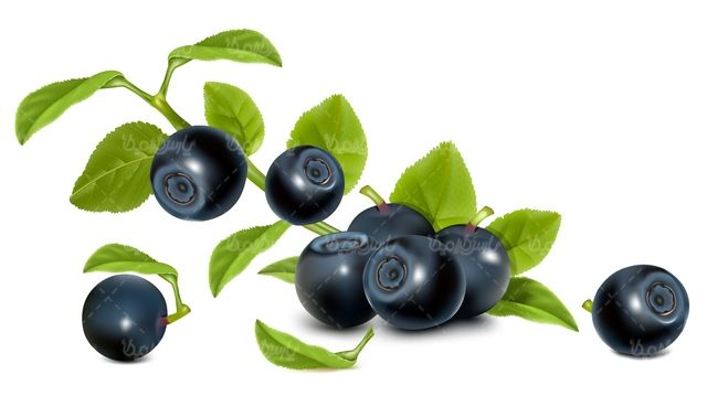 وکتور بلوبری