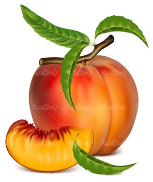 وکتور هلو