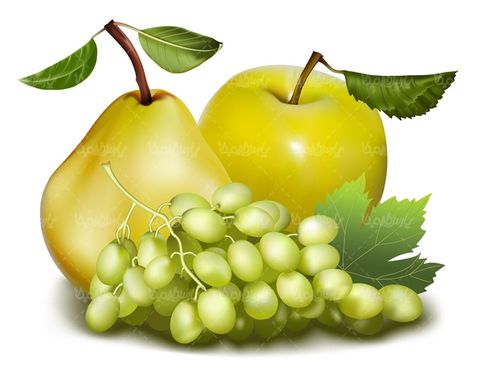 وکتور میوه