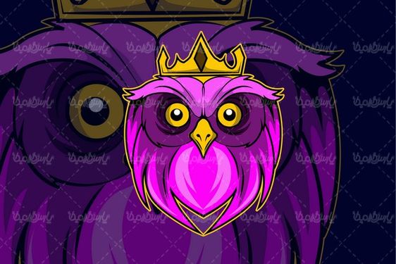 Owl vector