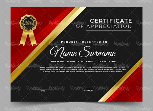 Certificate Design Vector