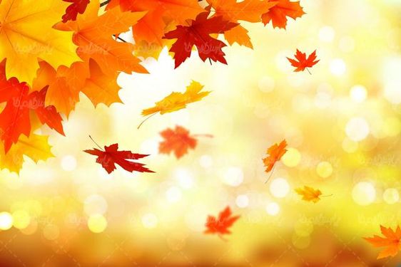 وکتور پس زمینه پاییز