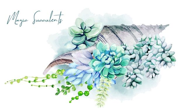 وکتور کاکاتوس