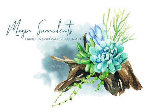 وکتور کاکاتوس