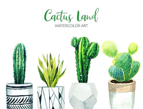 وکتور کاکاتوس